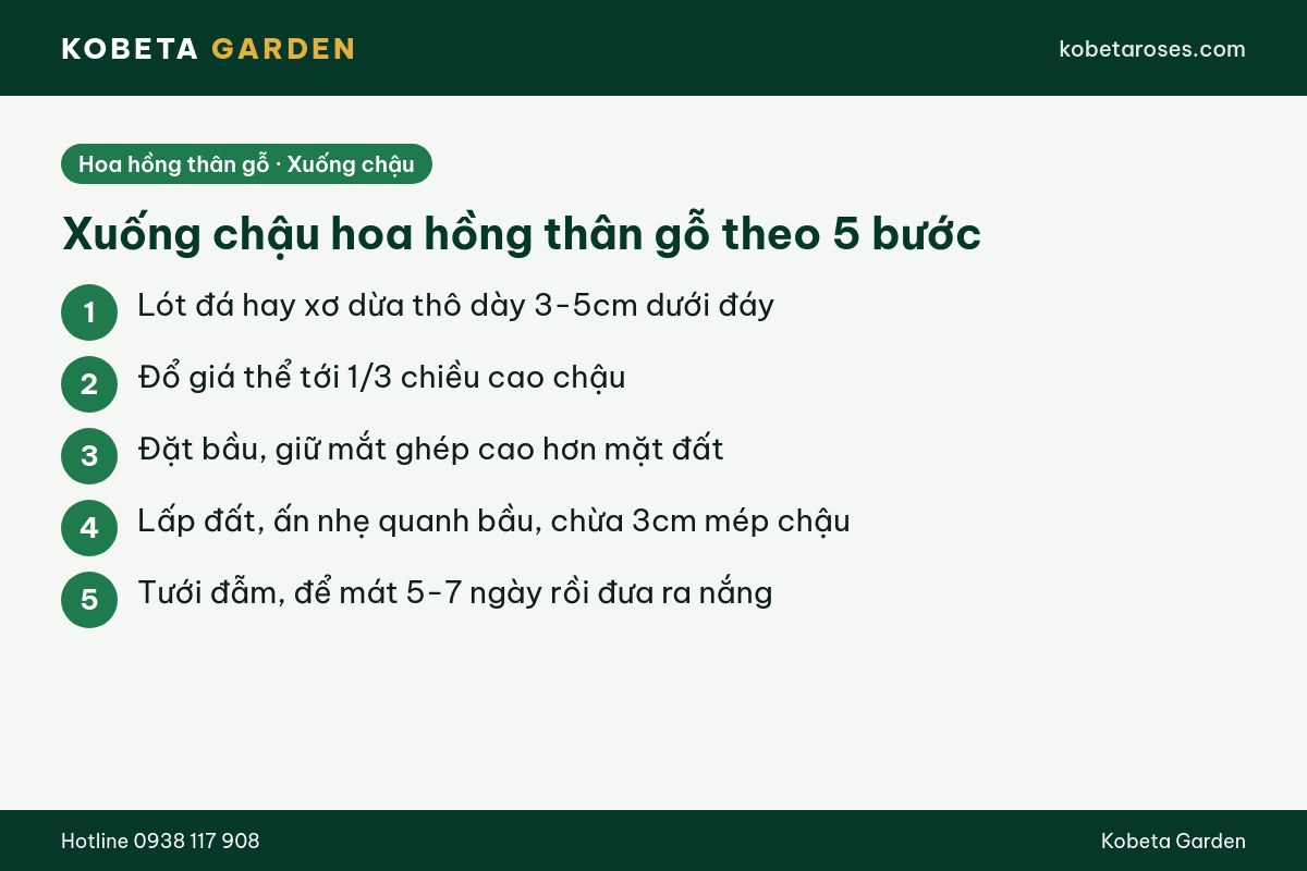 Hình ảnh bài viết