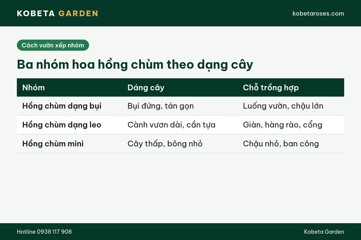 Hình ảnh bài viết