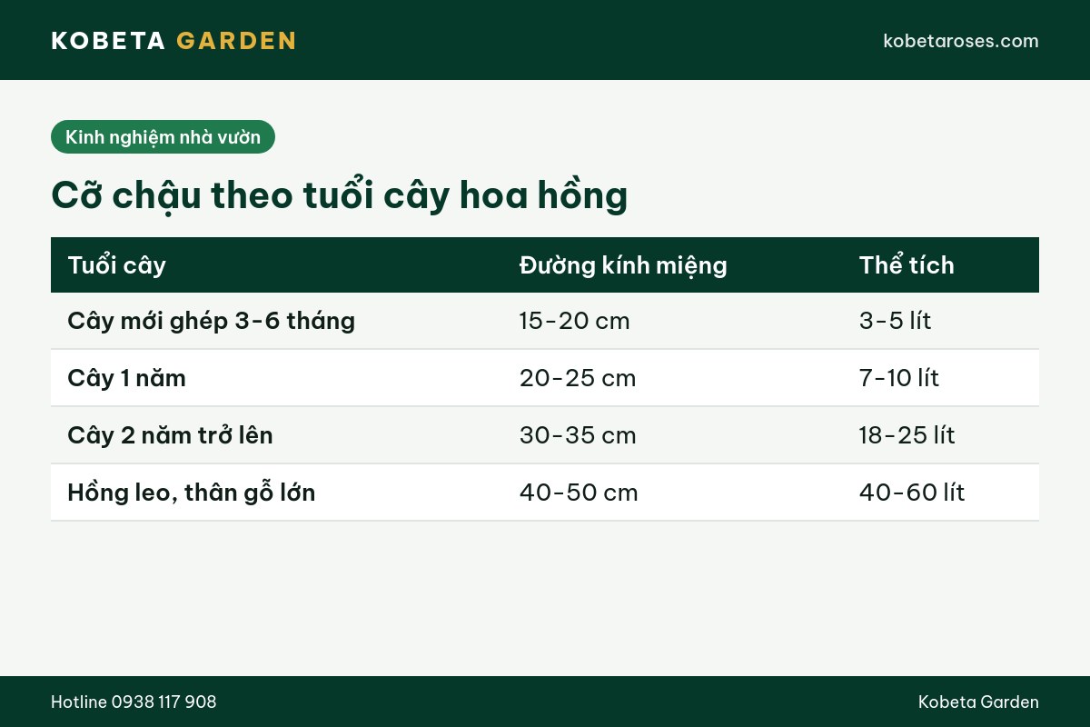 Hình ảnh bài viết