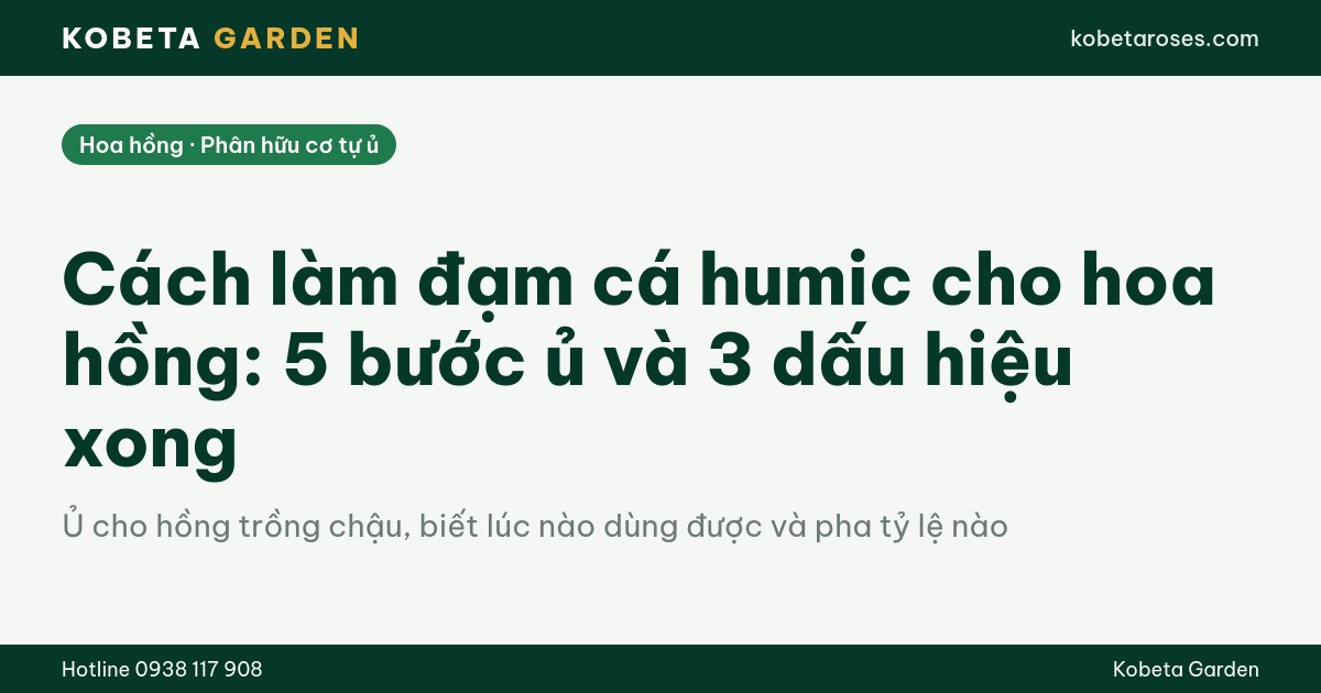 Hình ảnh bài viết