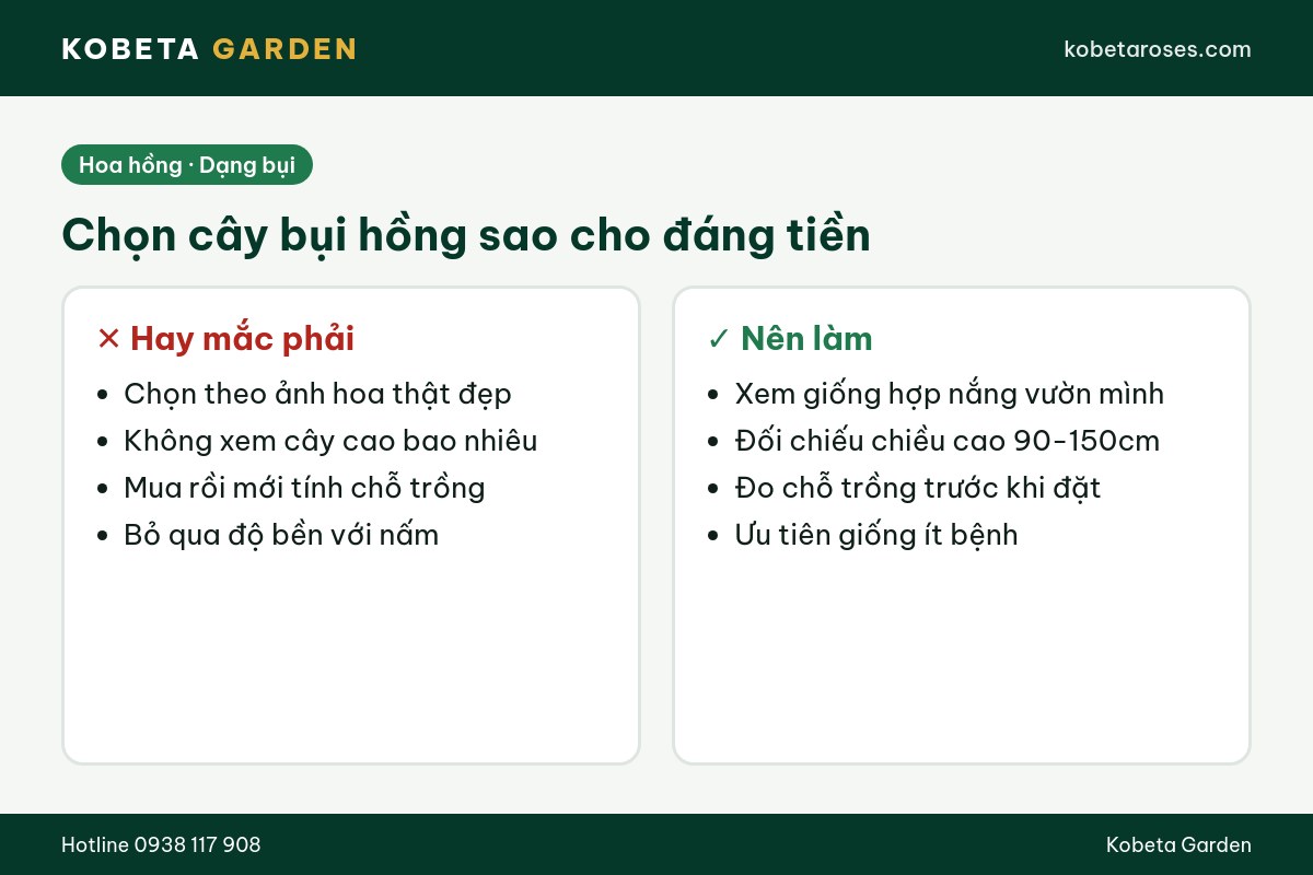 Hình ảnh bài viết