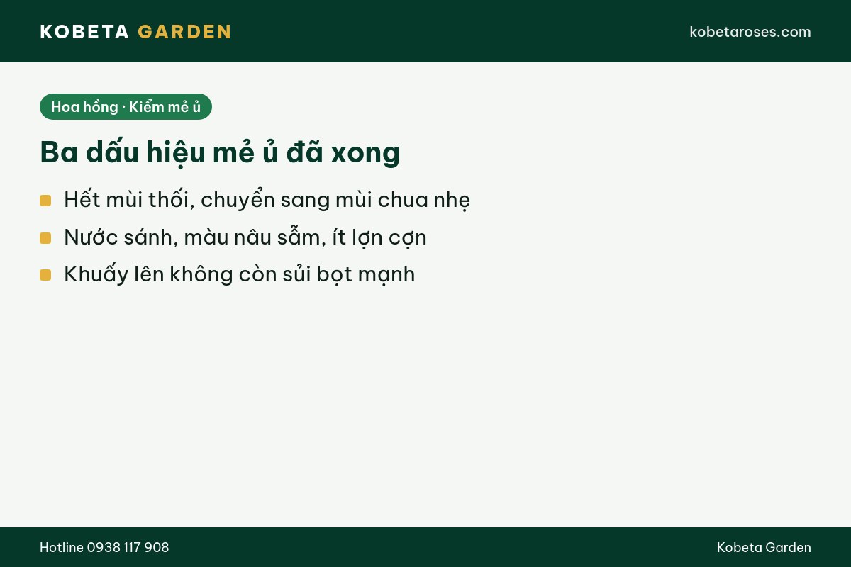 Hình ảnh bài viết