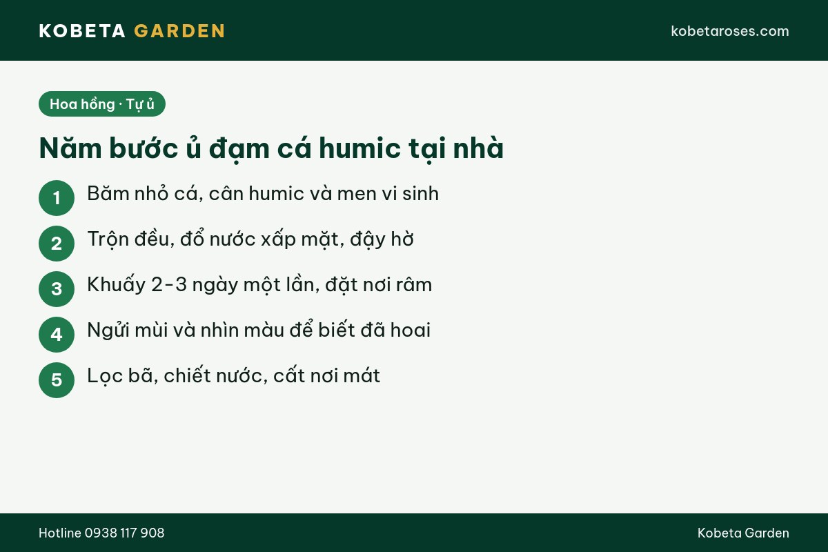 Hình ảnh bài viết