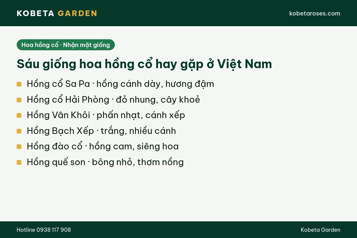Hình ảnh bài viết