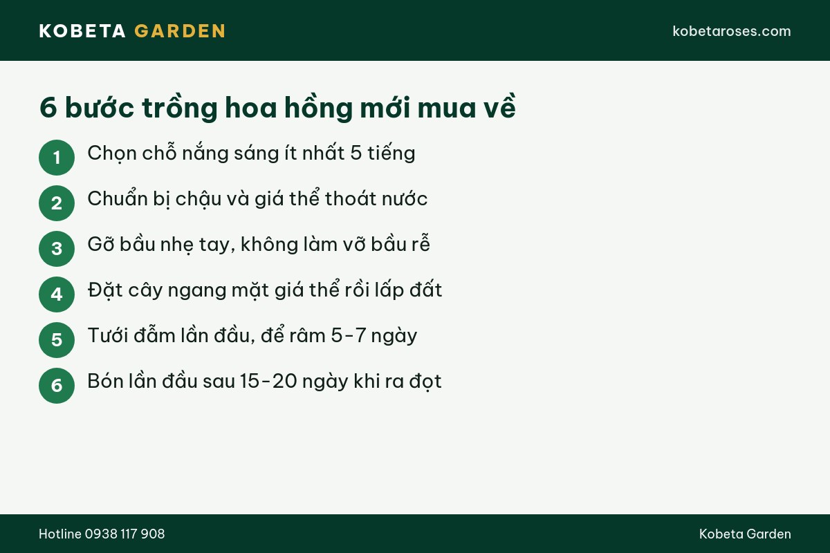 Hình ảnh bài viết