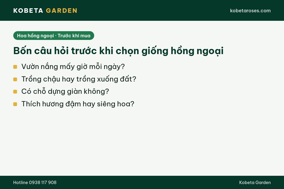 Hình ảnh bài viết