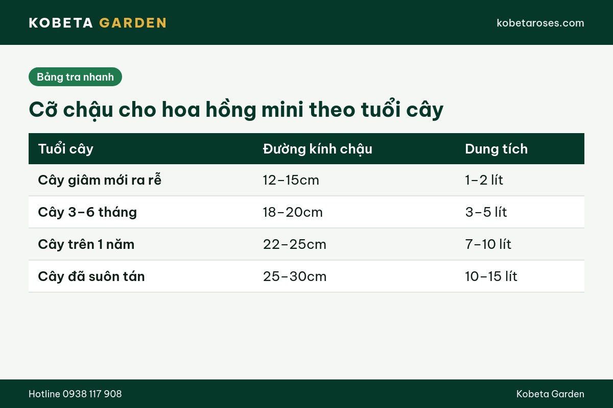 Hình ảnh bài viết
