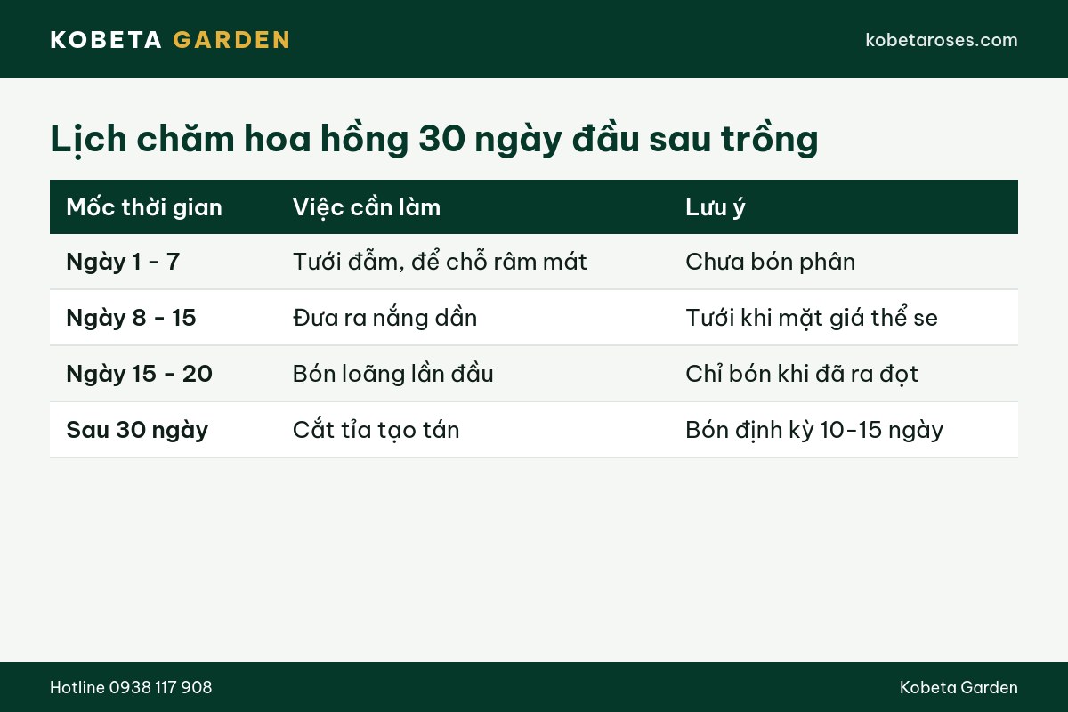 Hình ảnh bài viết