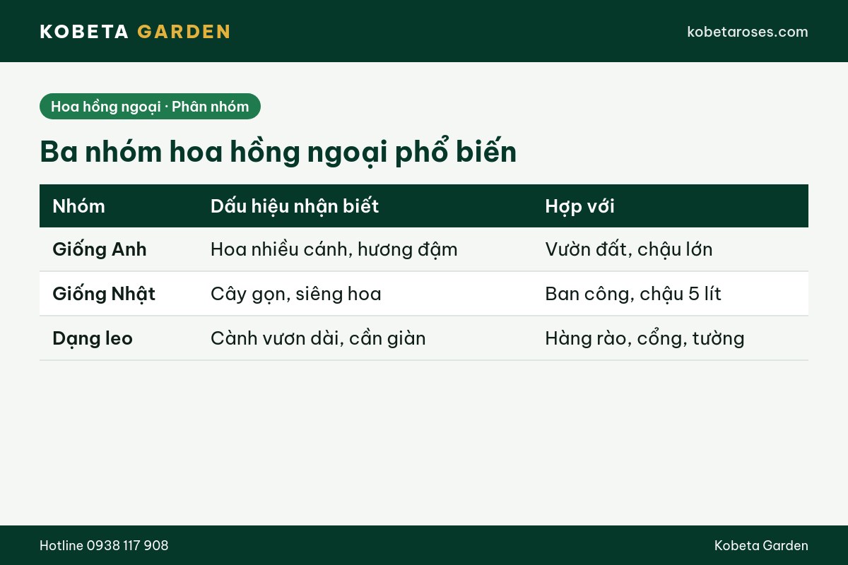 Hình ảnh bài viết