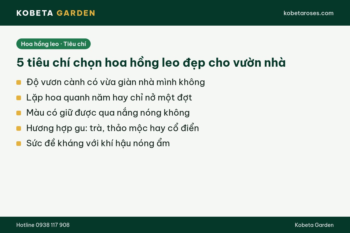 Hình ảnh bài viết