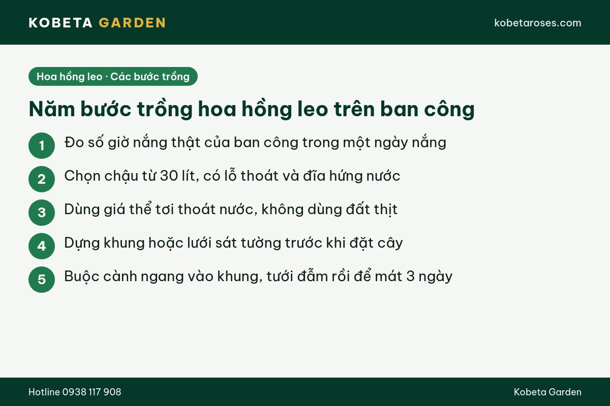 Hình ảnh bài viết