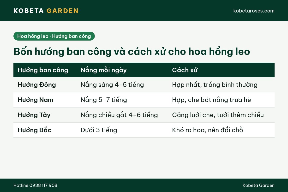 Hình ảnh bài viết