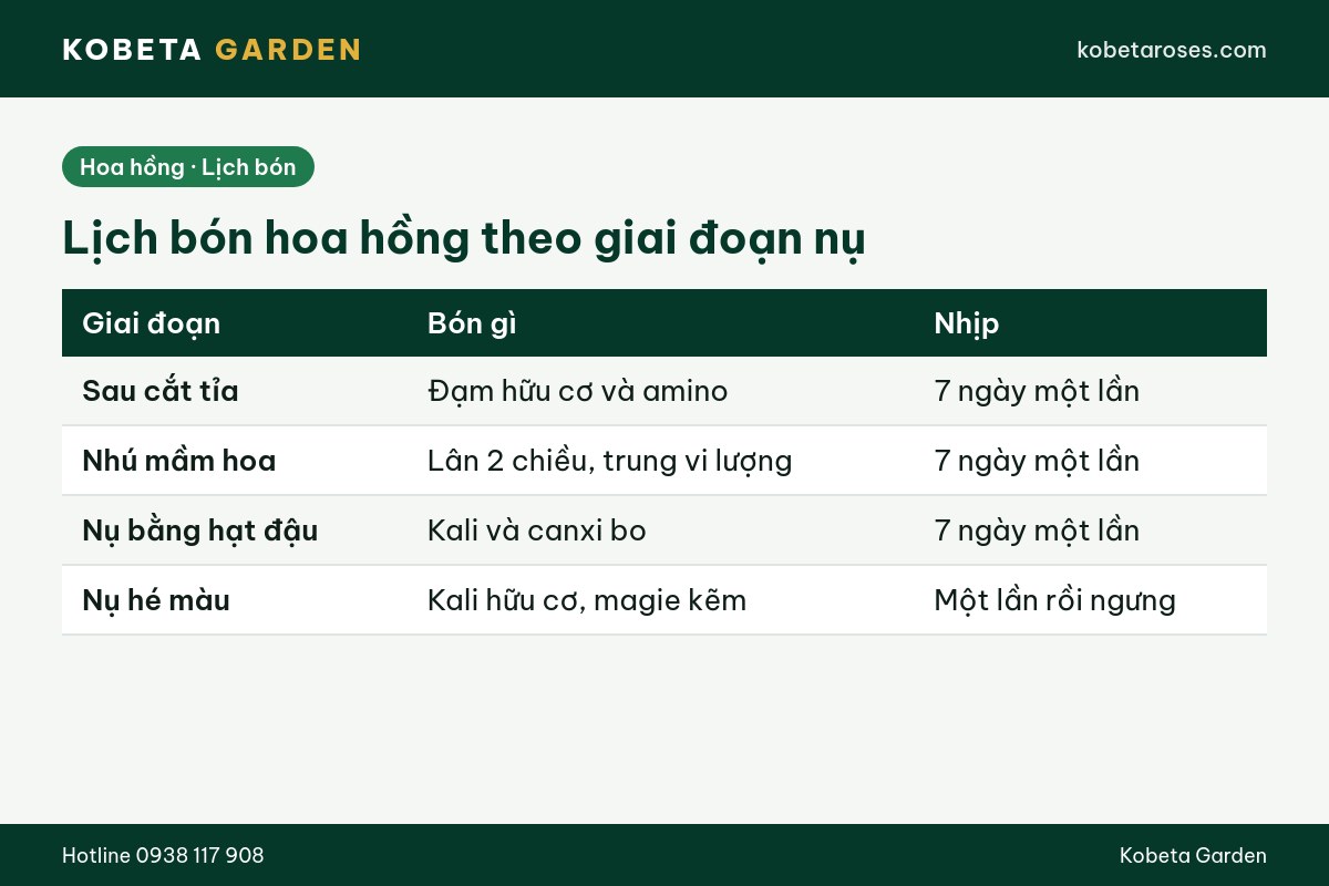 Hình ảnh bài viết