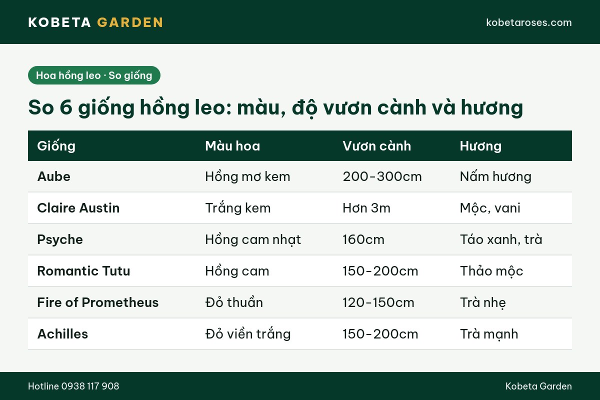 Hình ảnh bài viết