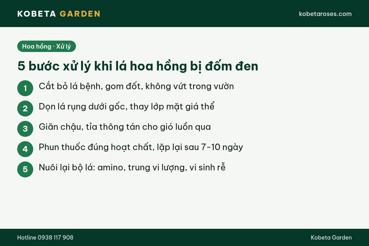 Hình ảnh bài viết