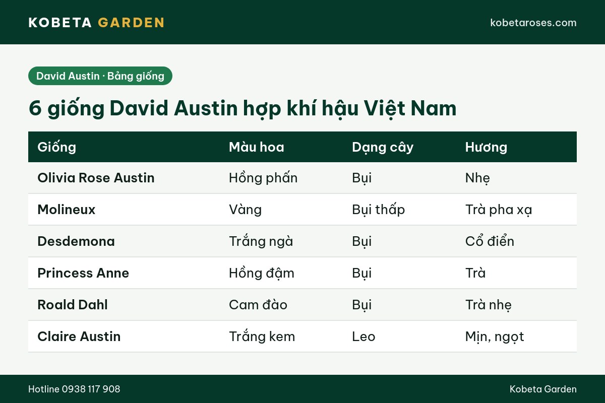Hình ảnh bài viết