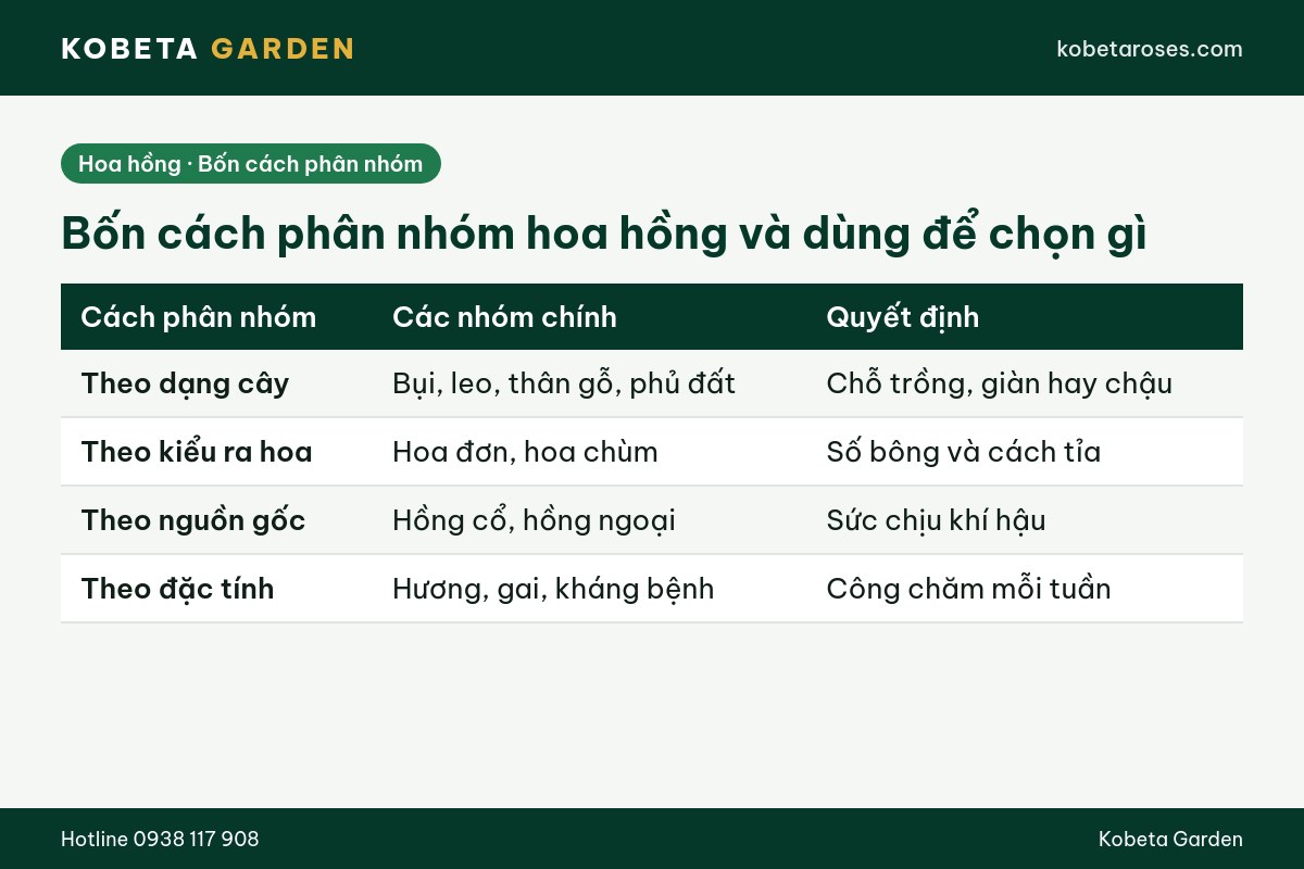 Hình ảnh bài viết