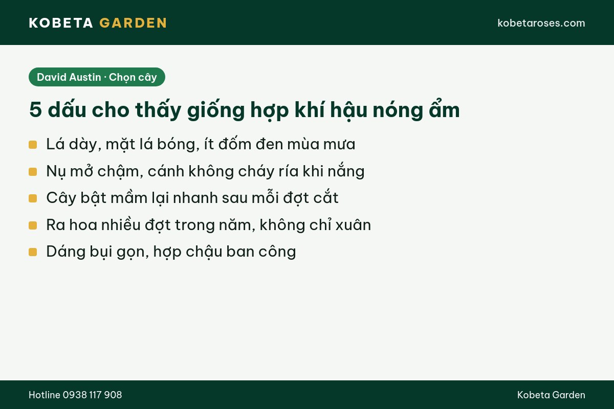 Hình ảnh bài viết