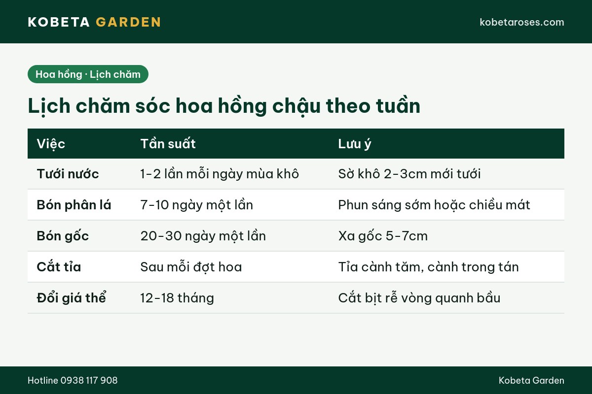 Hình ảnh bài viết
