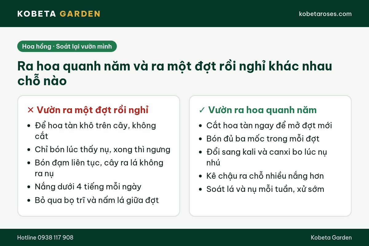 Hình ảnh bài viết