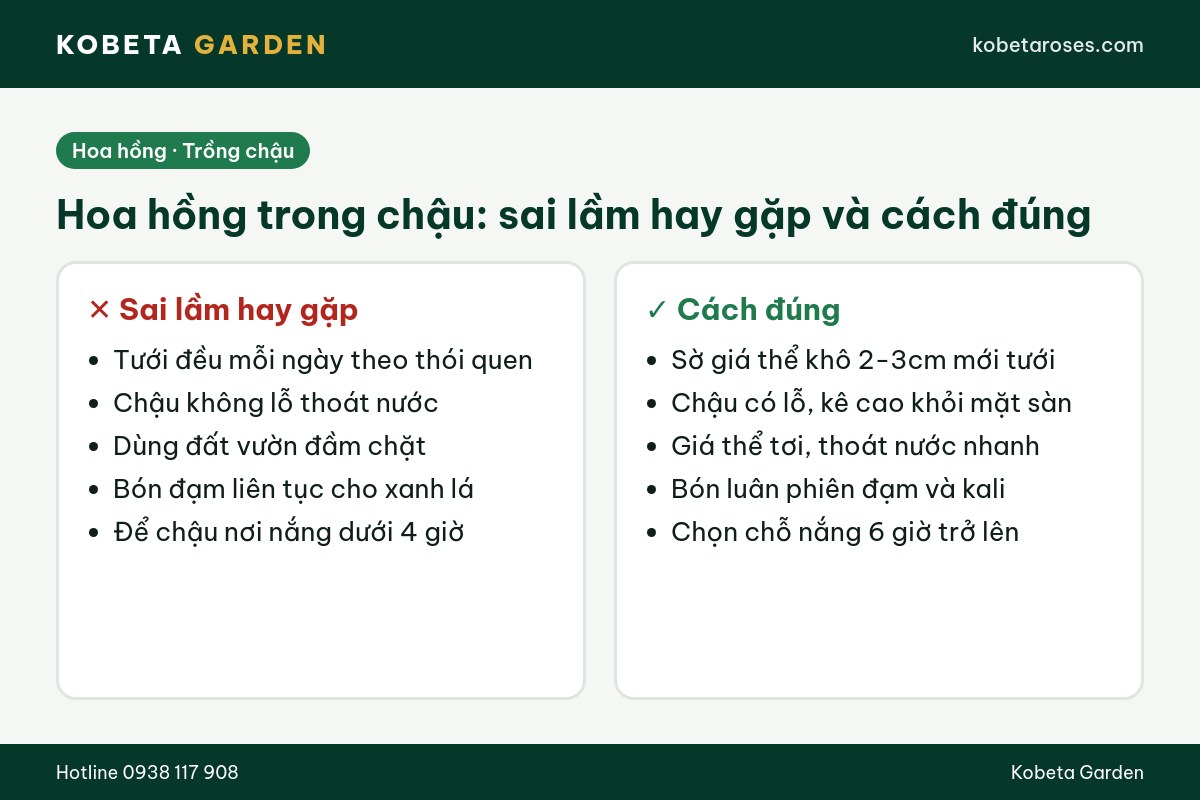 Hình ảnh bài viết