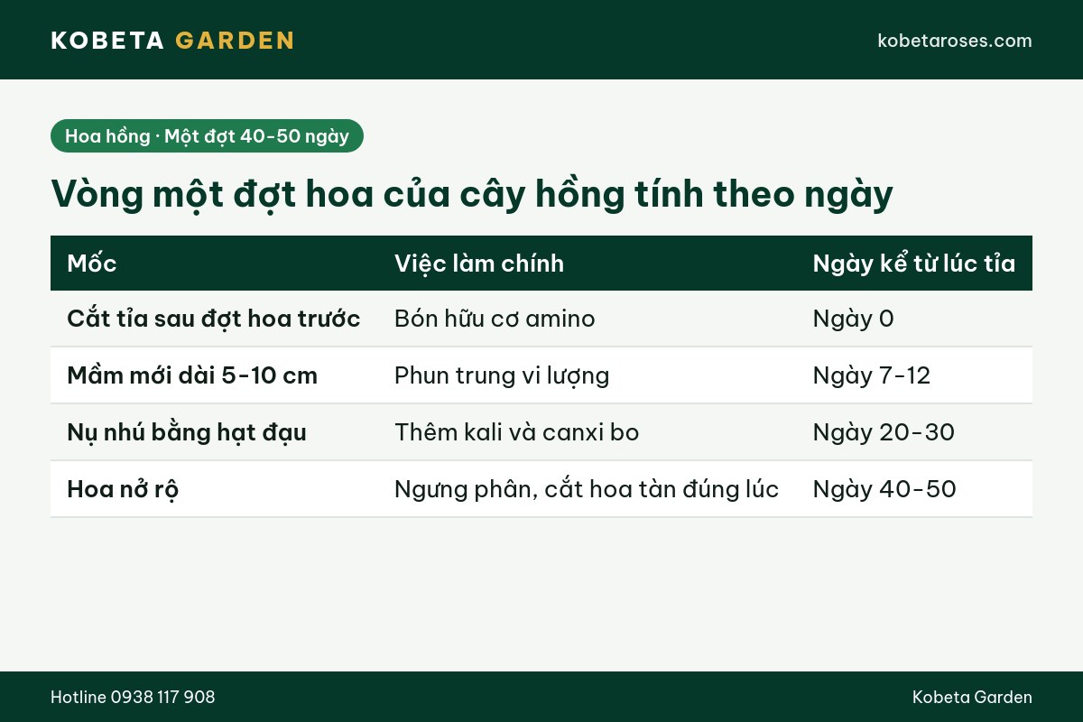 Hình ảnh bài viết