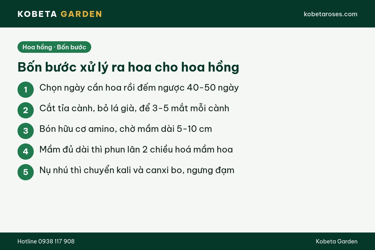 Hình ảnh bài viết