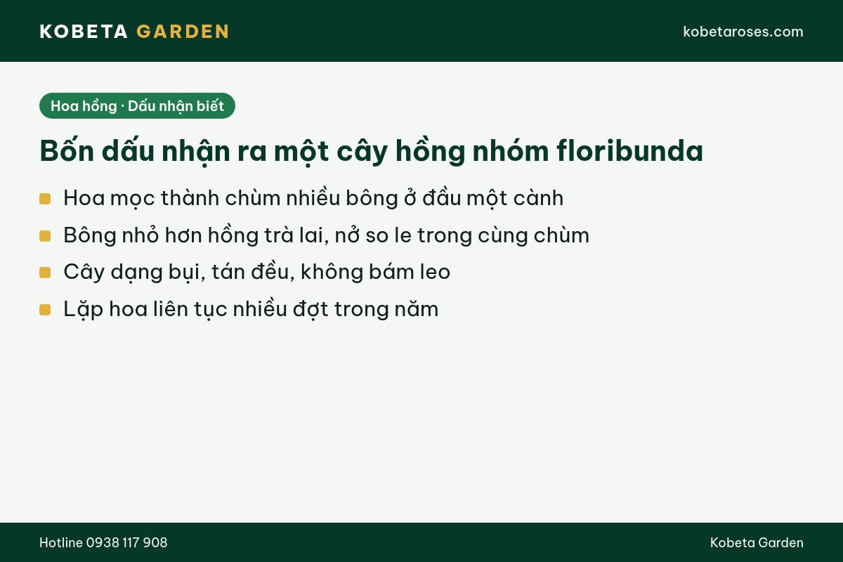 Hình ảnh bài viết