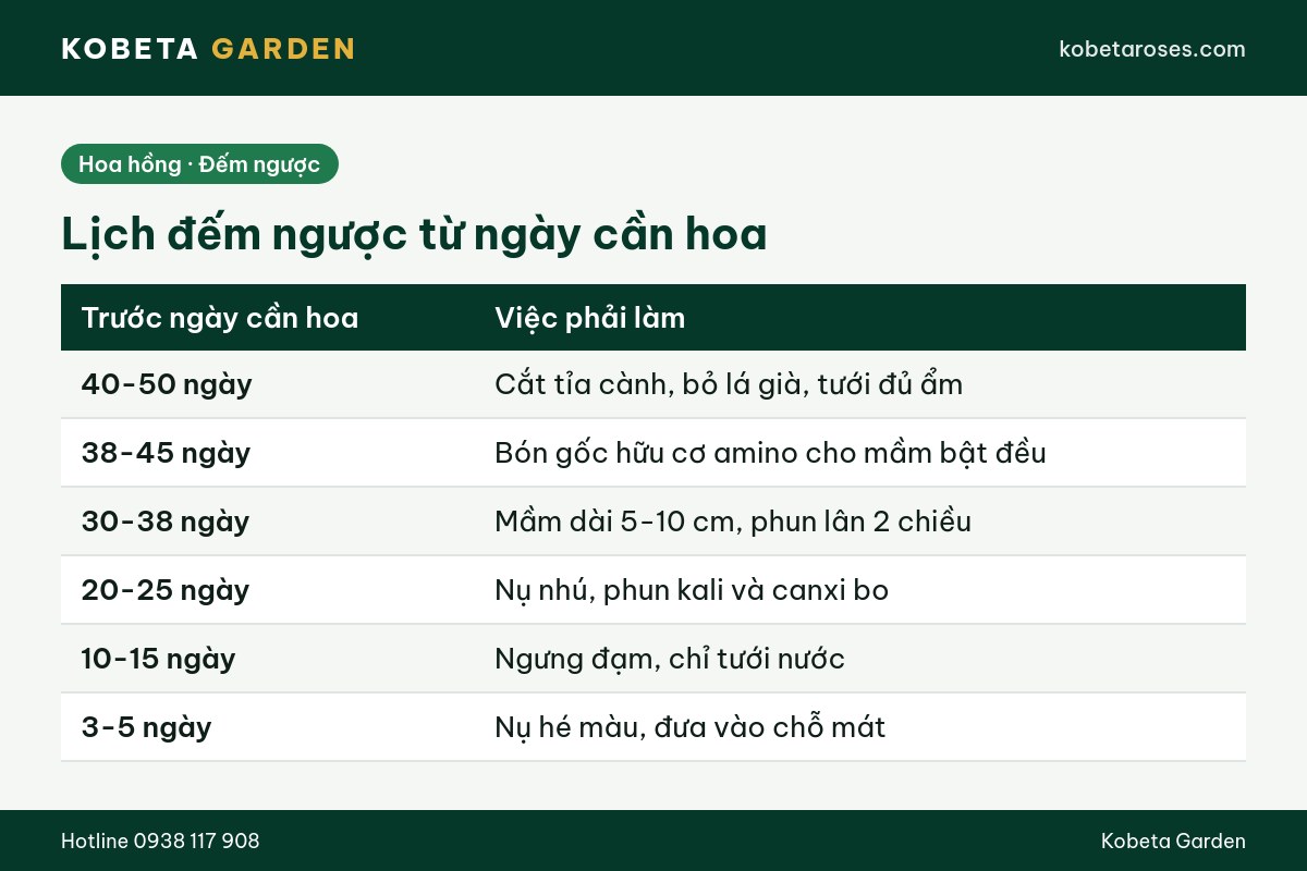 Hình ảnh bài viết