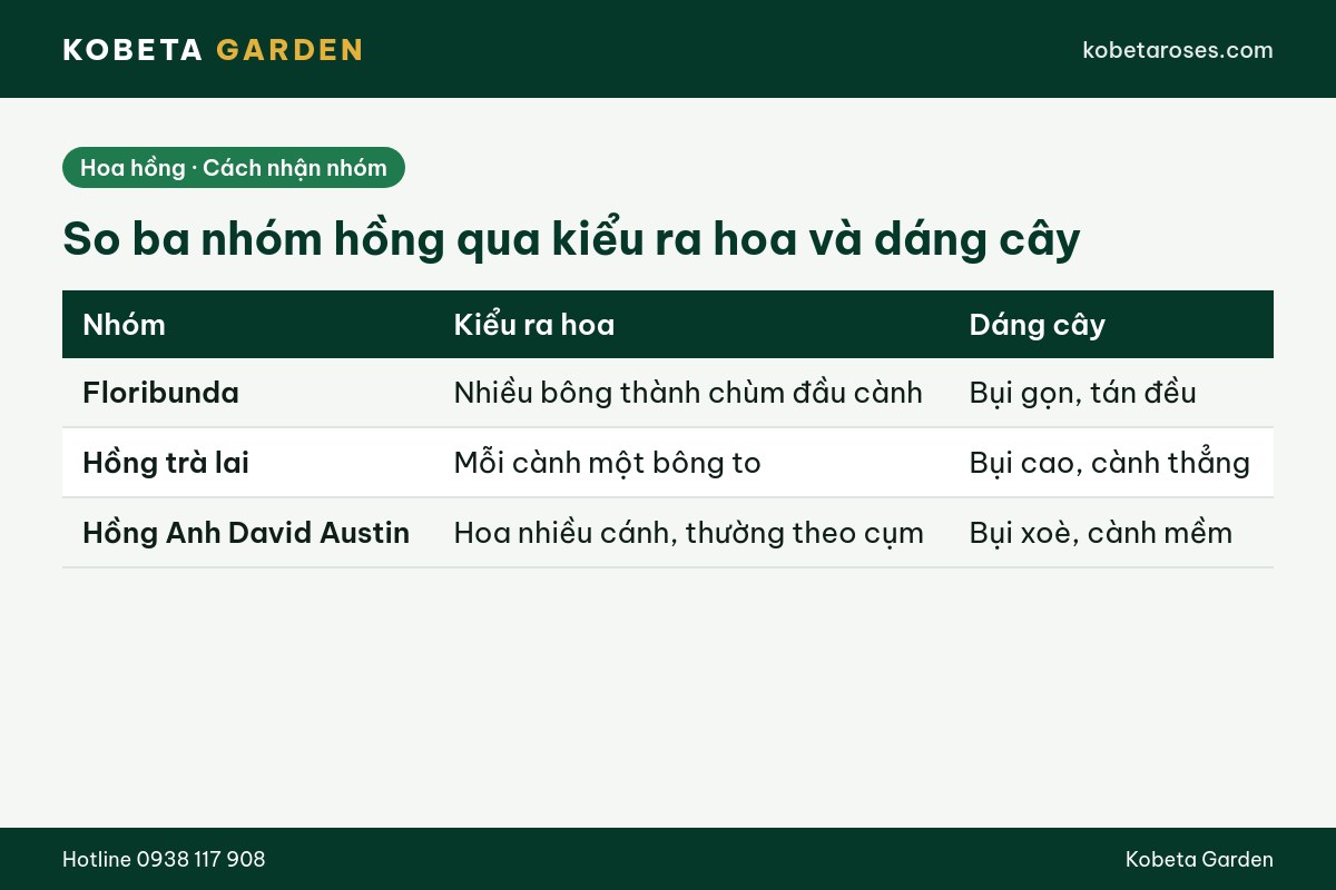 Hình ảnh bài viết