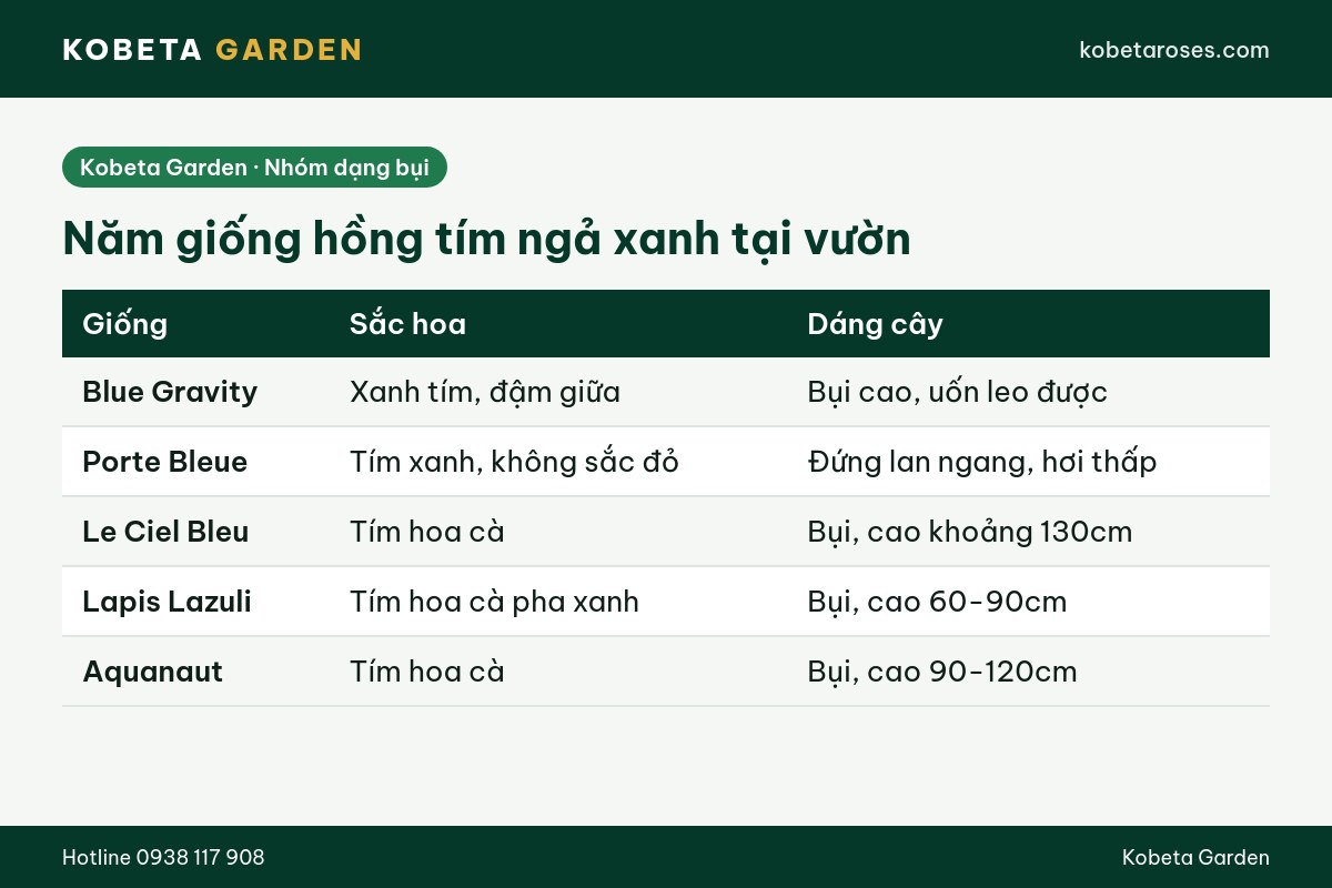 Hình ảnh bài viết