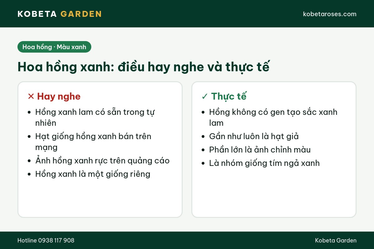Hình ảnh bài viết