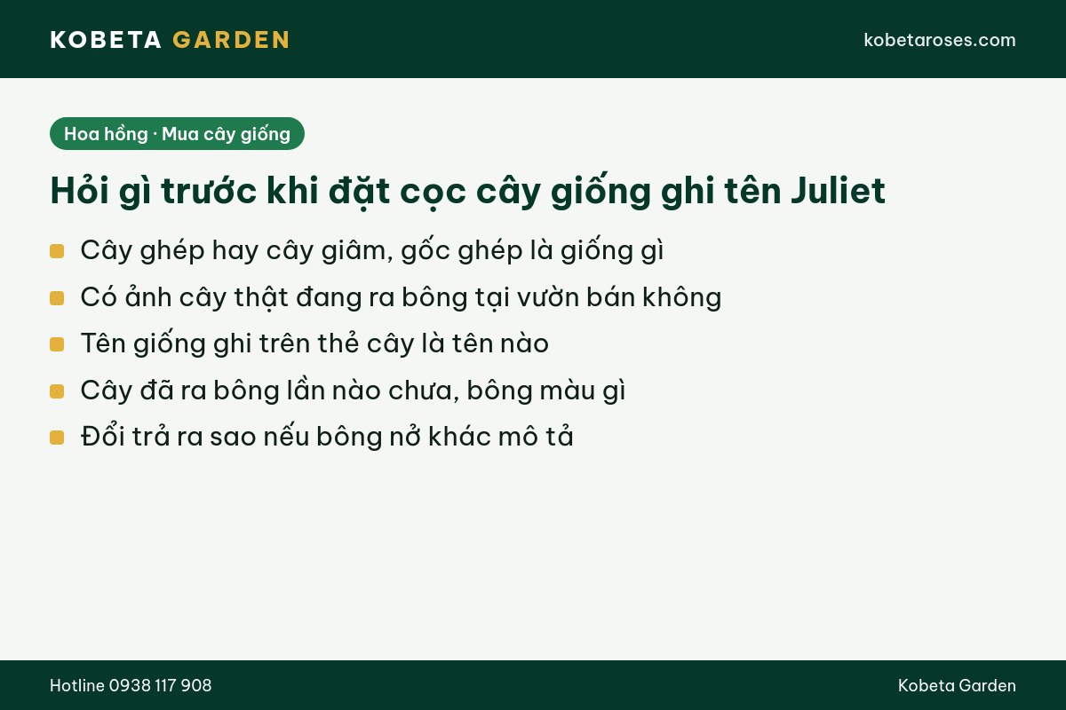 Hình ảnh bài viết