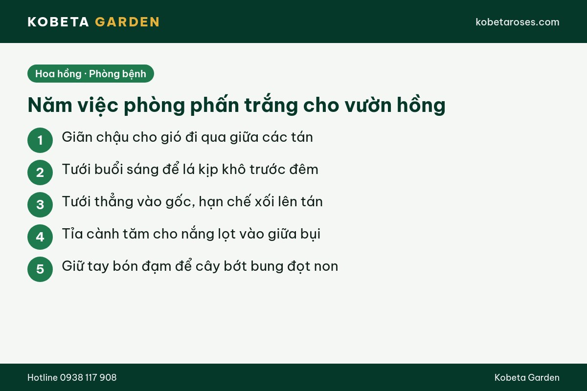Hình ảnh bài viết