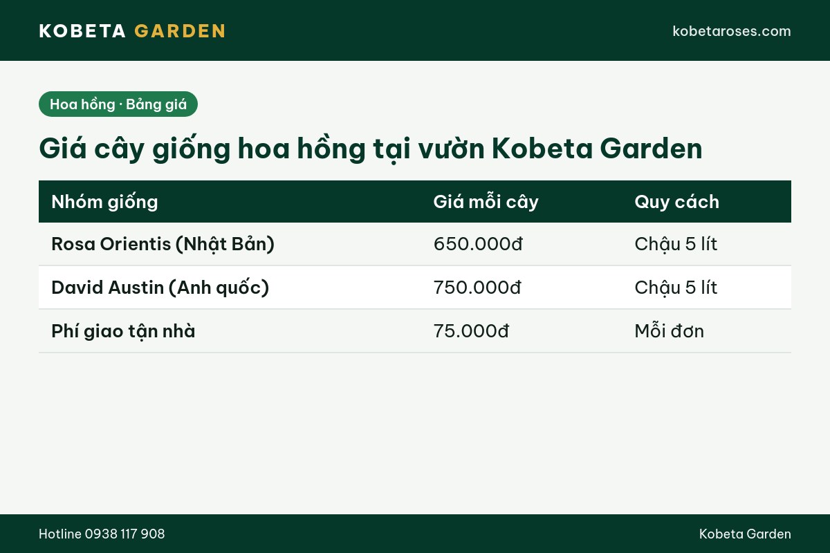 Hình ảnh bài viết