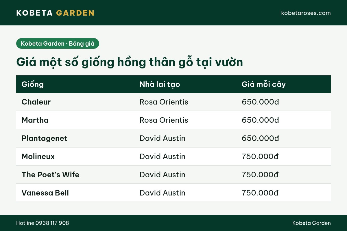 Hình ảnh bài viết
