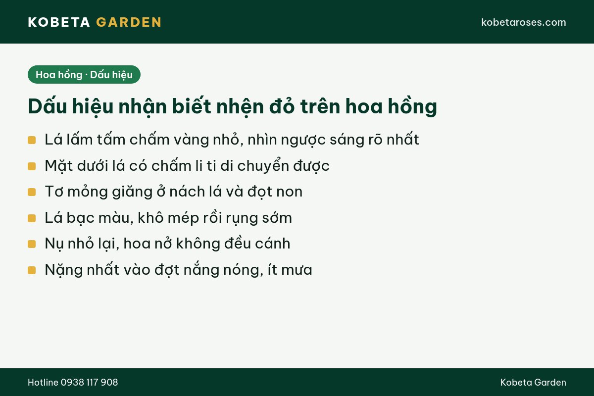 Hình ảnh bài viết