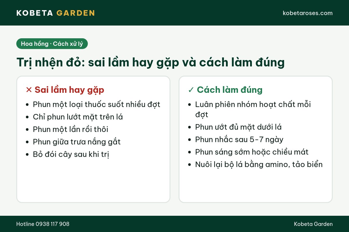 Hình ảnh bài viết