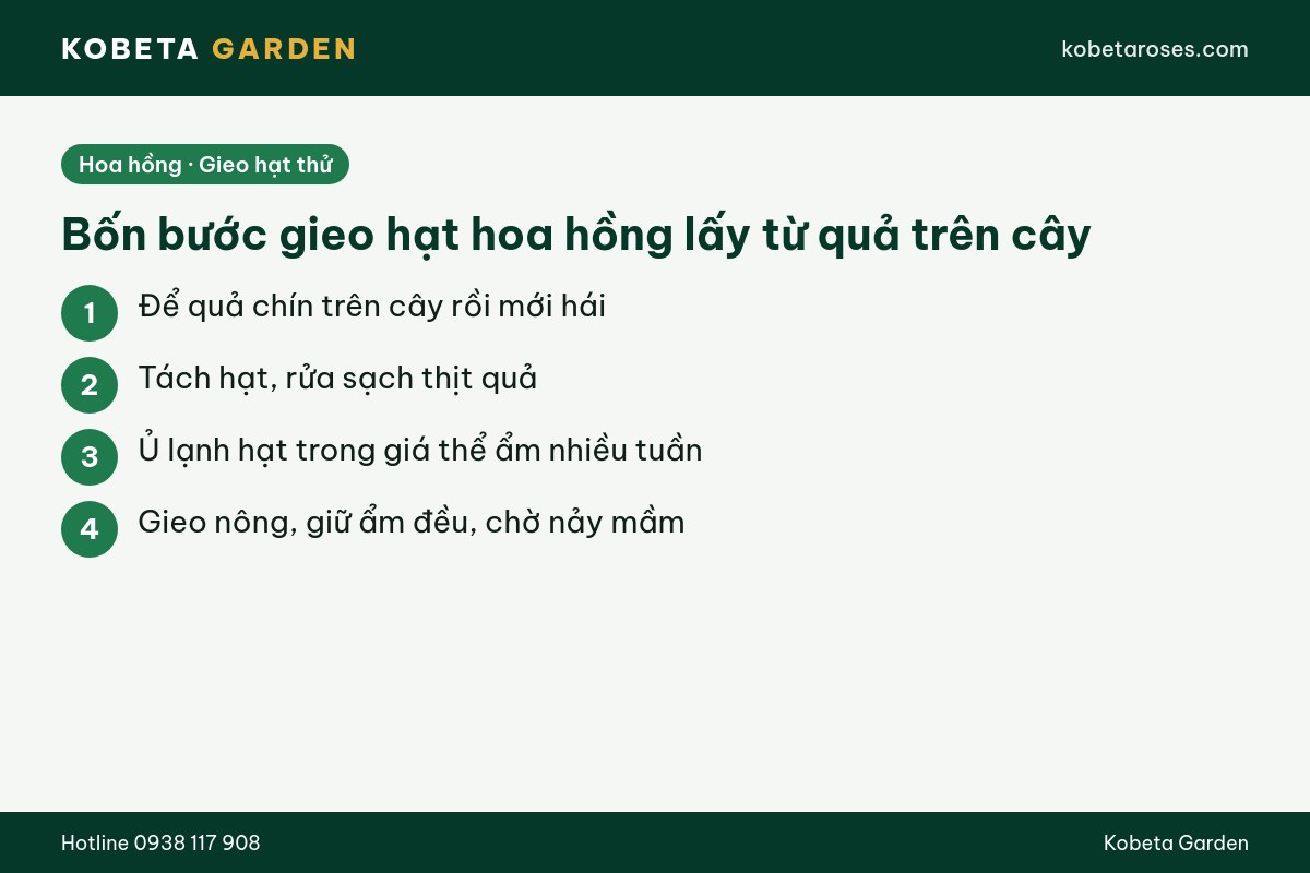 Hình ảnh bài viết