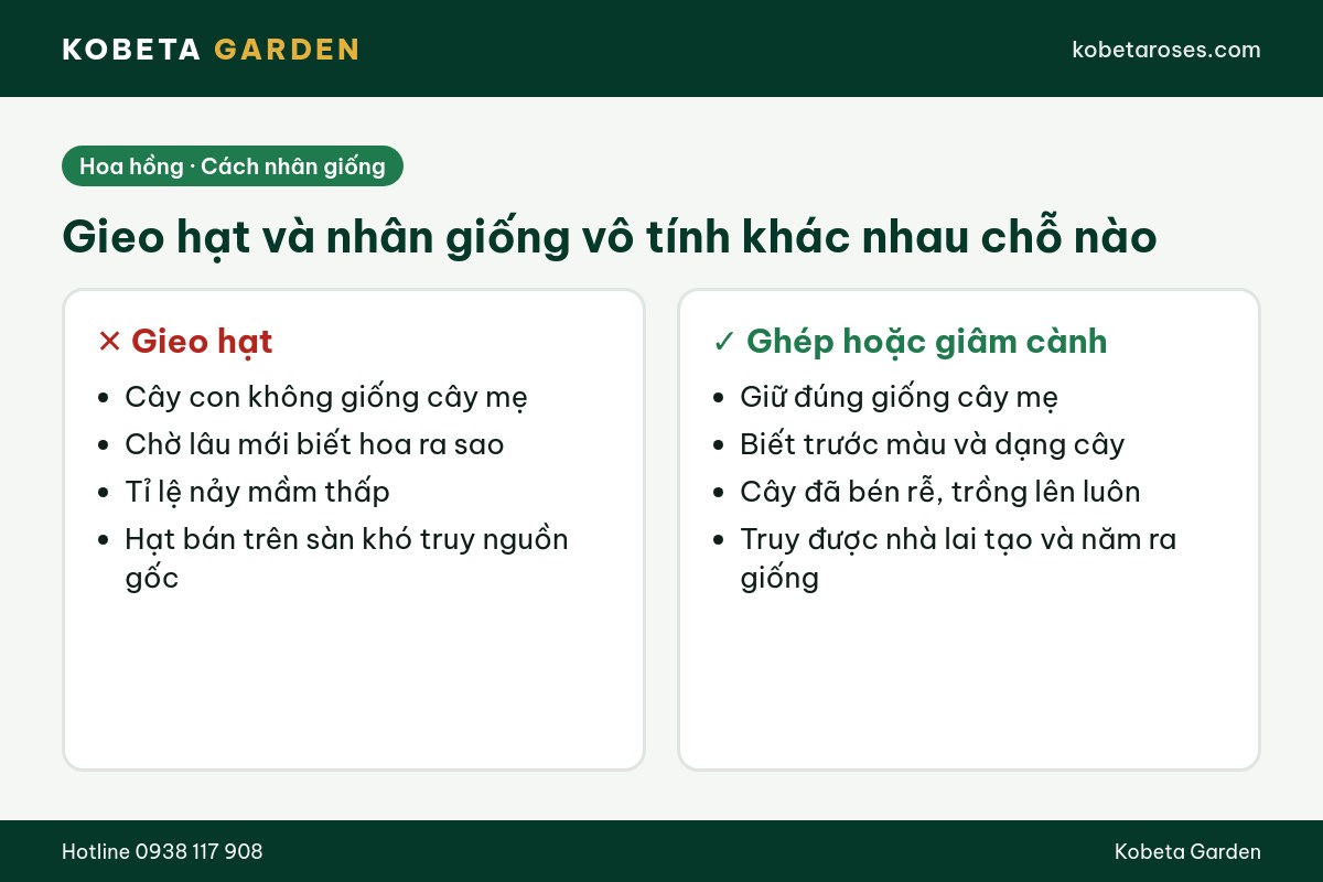 Hình ảnh bài viết
