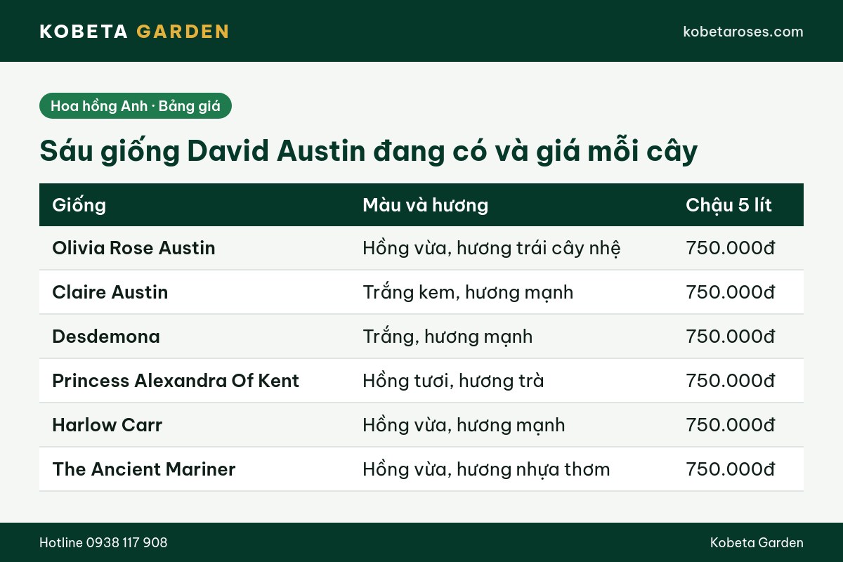Hình ảnh bài viết