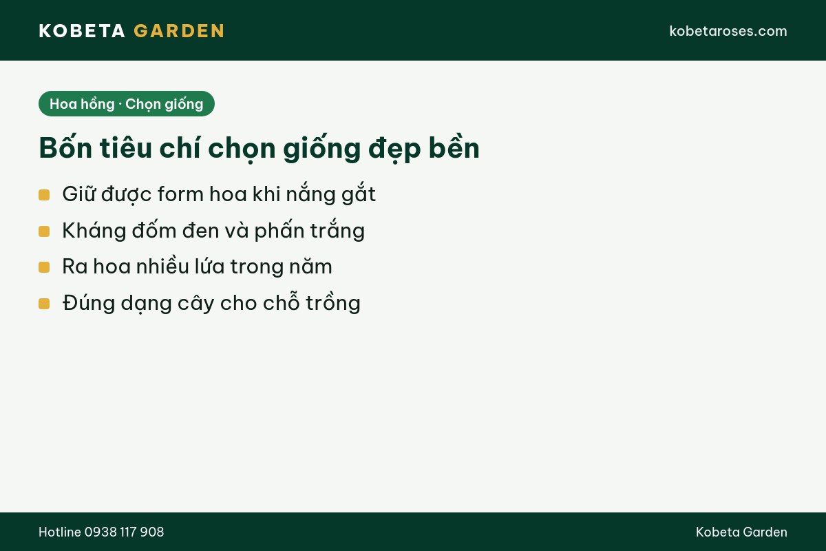 Hình ảnh bài viết