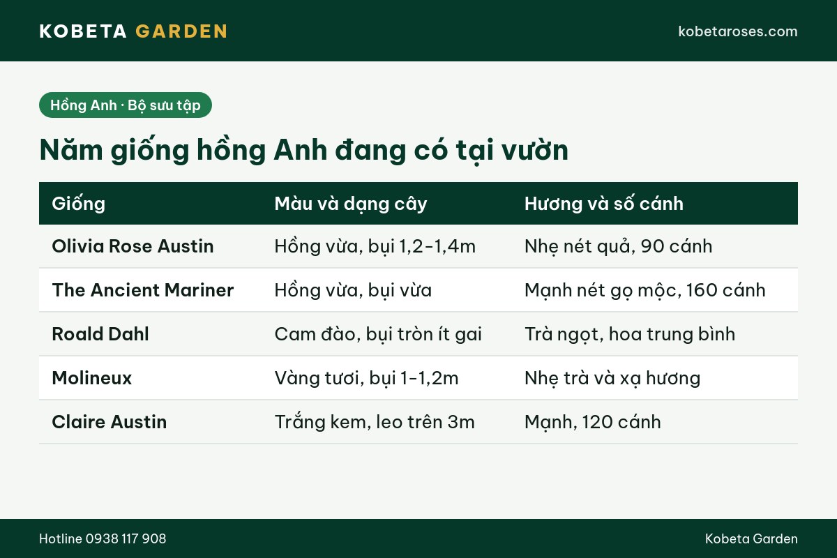 Hình ảnh bài viết