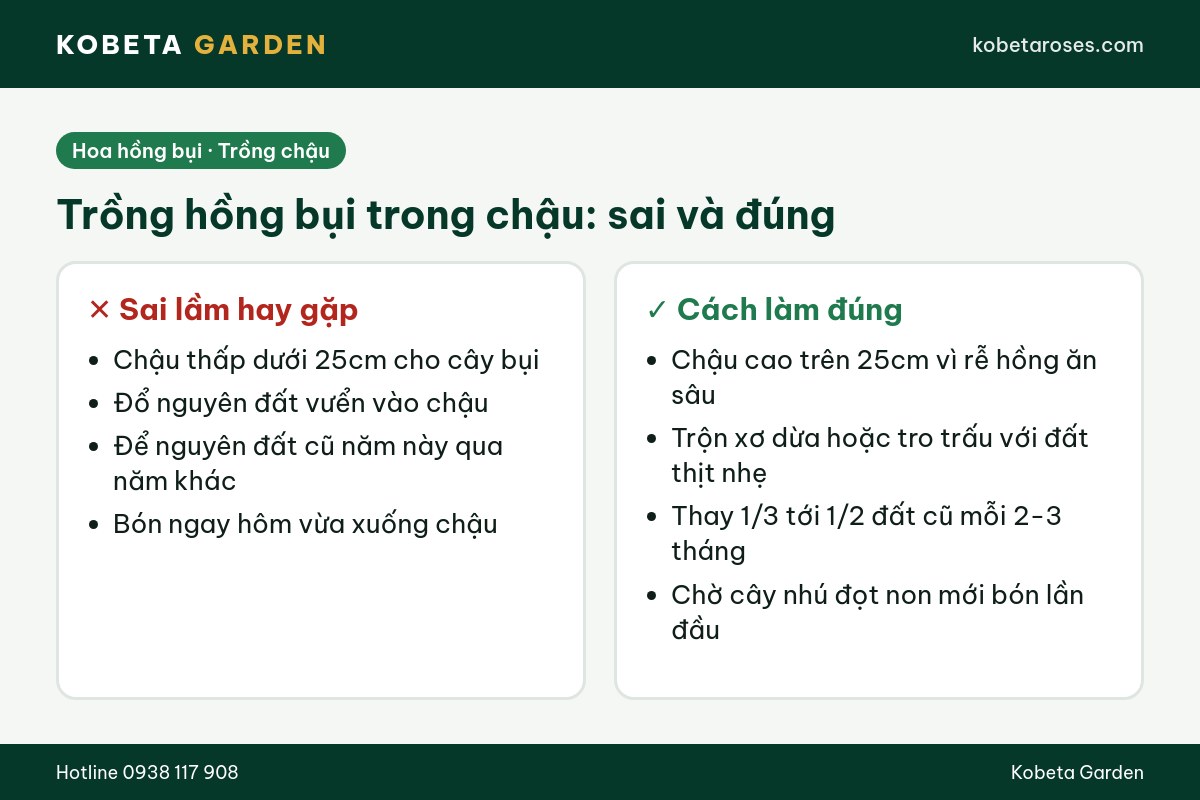 Hình ảnh bài viết