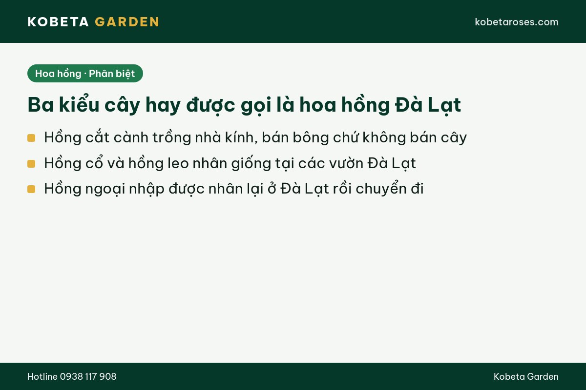 Hình ảnh bài viết
