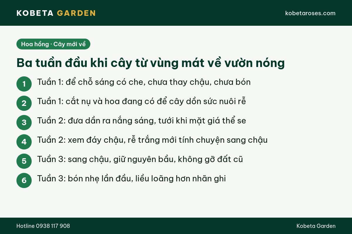Hình ảnh bài viết