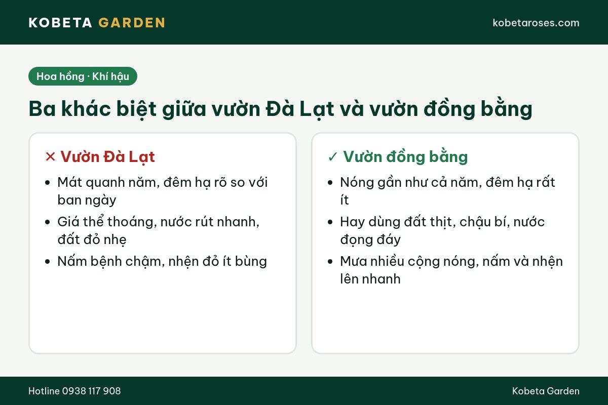 Hình ảnh bài viết