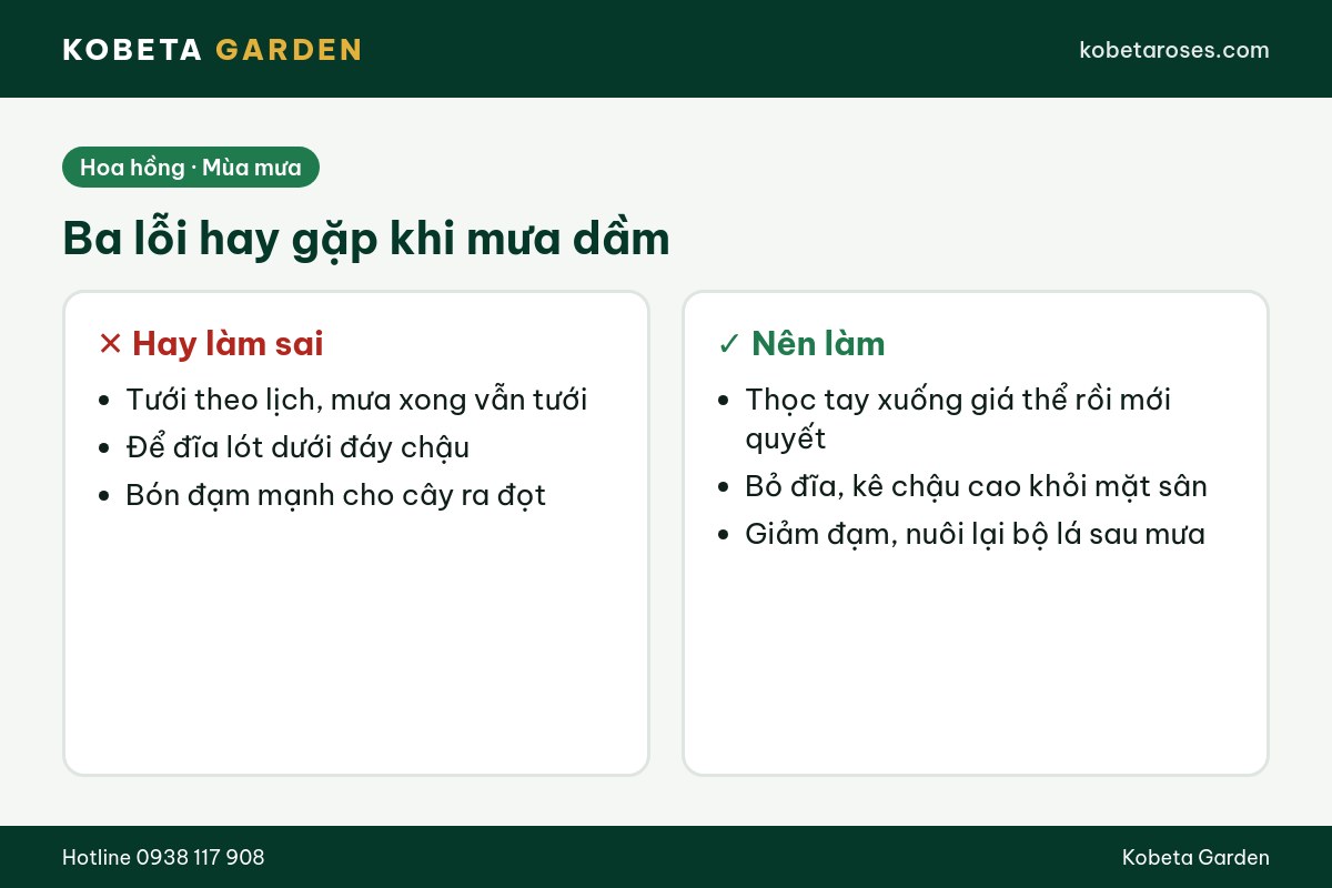 Hình ảnh bài viết