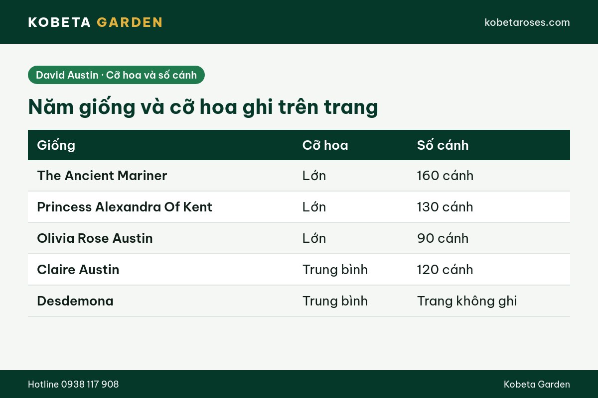 Hình ảnh bài viết