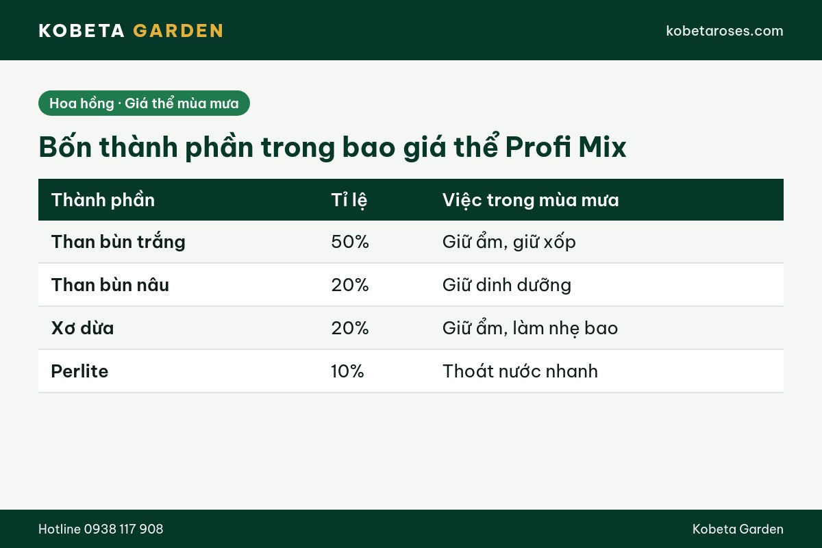 Hình ảnh bài viết